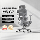 上岛佳【源头直供】新品电脑椅G7人体工学椅办公座椅电竞椅升降扶手可躺 G7灰框灰网-加搁脚 可旋转可升降扶手 钢 （承重加强）