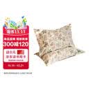 字画-洛克庄园图全棉枕头套48*74cm单只【文化用品】