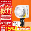 神牛（Godox）ML100Bi摄影灯双色温可调便携夜拍灯人像补光灯户外控制室电影视频摄像灯  ML100Bi【官方标配】