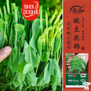 寿禾豌豆尖种子种苗四季吃苗盆栽蔬菜种籽 脆嫩2号豌豆尖种子50g*3袋