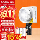 神牛（Godox）ML100Bi摄影灯双色温可调便携夜拍灯人像补光灯户外控制室电影视频摄像灯  ML100Bi【官方标配】
