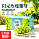 正宗阳光玫瑰葡萄新鲜现摘水果晴王葡萄无籽香印提子青提当季整箱 带箱5斤-净重4.5斤（彩箱装） 脆甜多汁