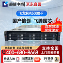 超越申泰飞龙RM5000-F国产信创飞腾服务器自主可控 飞腾FT2000+丨256G丨512G*2 +8T*5丨四口千兆丨正版麒麟