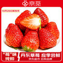 京觅丹东99红颜奶油草莓 500g装净重新鲜水果源头直发