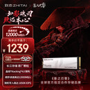 致态（ZhiTai）长江存储 1TB SSD固态硬盘 NVMe M.2接口 TiPlus9100  (PCIe 5.0) 影之刃零 全球官方指定存储品牌