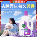 滴露（Dettol）衣物消毒液除菌薰衣草3L衣服消毒水99.9%杀菌除螨内裤 需搭洗衣液
