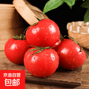 普罗旺斯自然熟沙甜新鲜西红柿薄皮美味生吃水果番茄草莓芯 普罗旺斯番茄单果80g+带箱2斤 1.8斤 净重