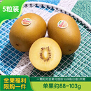 佳沛（zespri）新西兰金奇异果猕猴桃 5粒装 单果约88-103g 水果源头直发