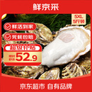 鲜京采  鲜活生蚝5XL 净重5斤 9-12只 乳山牡蛎 火锅 新鲜海鲜 贝类