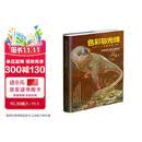 色彩与光线：写实主义绘画指南（珍藏版）（绘客出品）