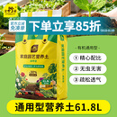 史丹利营养土61.8L大规格 养花通用型种植土花土家用种花种菜土壤