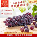 京鲜生 辽宁巨峰葡萄经典风味 尝鲜2-2.5斤 容易掉粒介意慎拍 新鲜水果