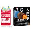 DK大历史 DK BIG大历史 从宇宙大爆炸到我们人类的未来 138亿年的非凡旅程 2023年新版 大卫克里斯蒂安著 中信出版社