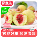 京鲜生山东青州蜜桃  净重4.5斤 单果85g+  新鲜水果 源头直发包邮