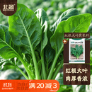 北蔬 菠菜种子苗大叶红根耐寒秋冬四季蔬菜种籽 红根大叶菠菜种子50g