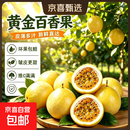 京喜加钦密9号黄金百香果 新鲜应季水果 送货上门 新鲜直发 越皱越甜 【单果45-60g】-10粒 | 皱皮更甜