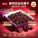 智利车厘子4j5j进口车厘子3j新鲜次日达大樱桃孕妇水果送礼礼盒装 2斤(净重) 礼盒装/新鲜脆甜 2JD(28mm-30mm)
