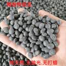 新黄豆农家土黄豆打豆浆专用 做豆腐豆花黑脐老品种 3斤装 农家青仁大黑豆