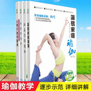 正版 向雪/邹婷YoGa瑜伽合集教学视频4dvd 形体健身塑形DVD光碟片
