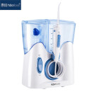 惠齿（h2ofloss） hf-8静音 家用冲牙器电动洁牙机器水牙线台式洗牙机