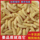 维霆活体马蜂蛹雄蜂蛹500g虎头蜂蜂蛹黄蜂蛹泡酒新鲜速冻蜂蛹幼虫 一级蜂蛹500g店主【营养佳】