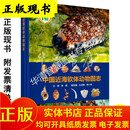 -中国近海软体动物图志