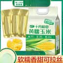 十月稻田（SHIYUEDAOTIAN）黄糯玉米棒白糯玉米段黑糯低脂甜软新鲜黑玉米 鲜食黄糯玉米220gX10支【礼盒装