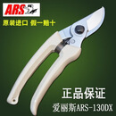 爱丽斯ARS130DX原装进口修枝剪国产修枝剪130园艺手剪果树整枝剪 爱丽斯修枝剪130DX（送一条弹簧