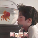 京东阿浩票务演唱会门票 100 补差价