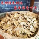 湄山芸雾老鹰茶商用茶叶火锅串串专用锅底茶红白老荫茶老人茶老阴茶批发 野生老鹰茶2000g 全叶(无杆基本上全是叶子)