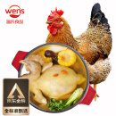 温氏供港老母鸡1.2kg 散养富硒老母鸡 冷冻 走地鸡500天月子鸡汤