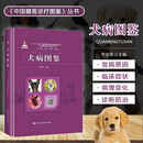 套装两册犬病图鉴+猫病图鉴 中国兽医诊疗图鉴丛书 图解犬猫疾病诊疗技术大全 犬病图谱书籍 宠物医生手册 犬猫常见病诊断图谱 犬猫病诊断与鉴别 宠物疾病诊断治疗书籍 犬病图鉴