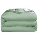 蚕丝被桑蚕丝春秋被空调被子加厚冬被单人双人被芯被褥 纯色压花-绿色 200*230cm6斤