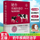 包邮【2023新书】奶牛疾病防治学 铂金视频版 王春璈 奶牛牧场管理疾病防控与治疗书籍 奶牛疾病临床症状病理变化诊断和治疗操作视频书