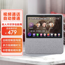 老人远程双向视频通话机老年陪护wifi家用可视对讲电话监控摄像头 灰色【官方标配 赠高清贴膜】