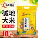 奕米阳光【当季新米】盘锦大米10斤真空包装东北长粒香米5kg蟹田米2.5kg 盘锦碱地米10斤（真空锁鲜装） 无规格