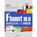 Fluent 19.0流体仿真从入门到精通