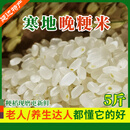 食芳溢东北正宗粳米2.5kg延边大米一级晚稻宝宝煮粥天然香梗米新米