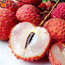 京鲜配新鲜当季冷冻白糖罂荔枝 广东老树荔枝当季水果礼盒 3斤(精选果)