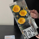 教师节向日葵永生花真花系列高级花盒礼盒送老师朋友创意生日礼物 宇宙浪漫向日葵38*15*20cm配礼袋 cm 向日葵永生花