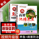 高效池塘养鱼+鱼病快速诊断与防治技术视频升级版 鲫鱼鲤鱼草鱼养殖技术 养鱼大全书籍 鱼病防治书籍