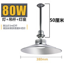led工矿灯工业厂房吊灯车间仓库工厂照明天棚聚光灯罩防爆80W100W150W 80w白光(配吊杆+灯座)