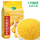 十月稻田 金苗黄小米 1kg（小米粥 杂粮 米饭伴侣 粥米 ）