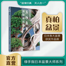 真柏盆景造型实例图解