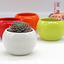 顺富美（SHUNFUMEI）陶瓷花盆 彩色创意花盆白色多肉植物花盆现代简约大小种花盆五色 陶瓷圆球-白色 中号