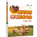 现代实用养鸡技术大全（第二版）魏刚才主编畜牧养殖化学工业出版社养殖户养殖技术农业书籍