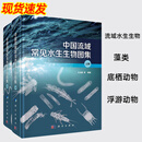 中国流域常见水生生物图集上下册 王业耀等 我国流域水生生物藻类底栖动物浮游动物情况信息书水生生物名