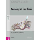 预订 Anatomy of the Horse