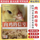 肉鸡的信号