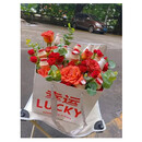啤酒花束DIY材料包 鲜花包装半成品手提袋抱抱桶送老公生日礼物盒 幸运 【2个礼品袋+材料包】